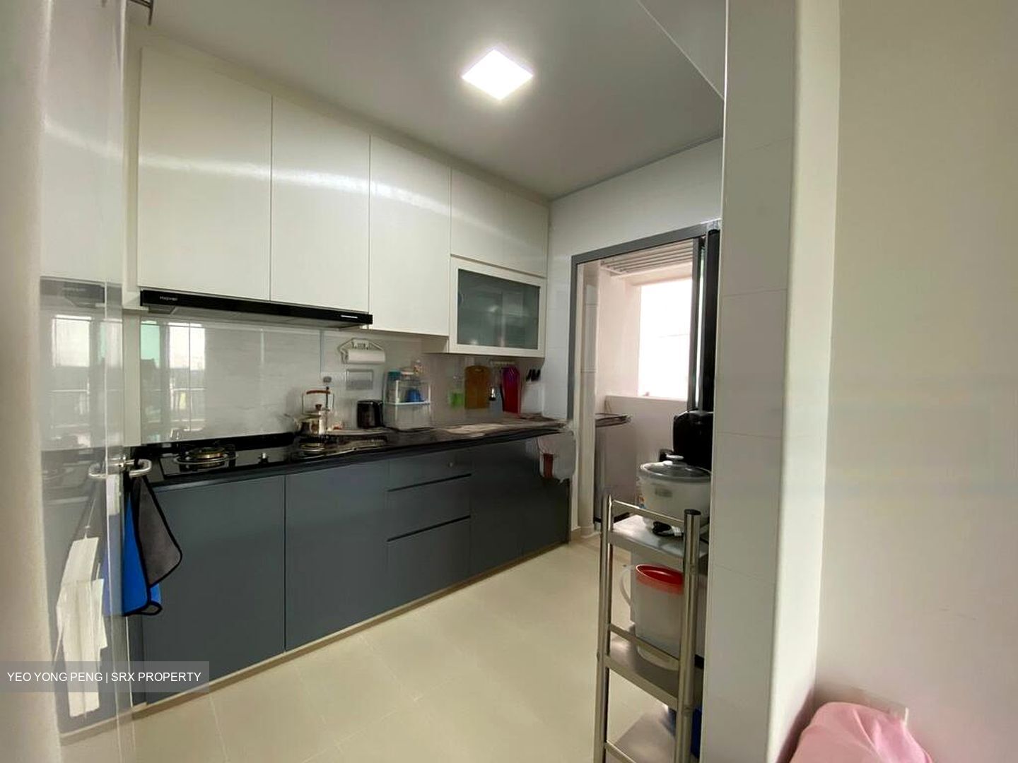 Blk 33 Skyresidence @ Dawson (Queenstown), HDB 4 Rooms #461428351